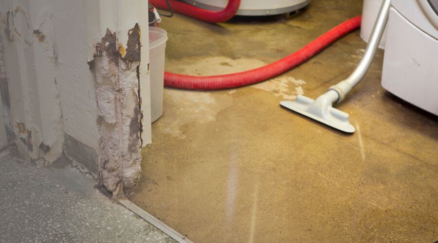 Why choose Apex Property Recovery for water damage restoration in London